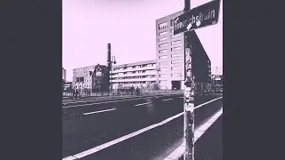 Momentum