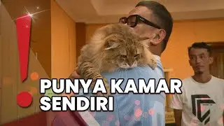Uya Kuya Bangga Kucing-kucingnya Juara Kontes Internasional