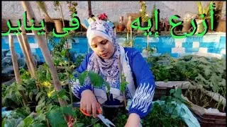 أزرع إيه فى يناير ٢٠٢٦ 