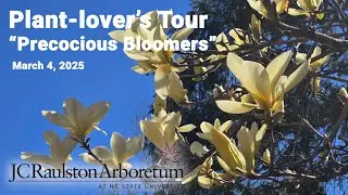 Plant-lover's Tour - 