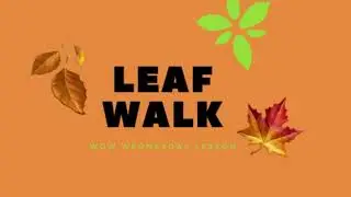Leaf Walk