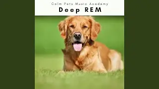 Dogs Naps Sounds for Deep Dog Nap