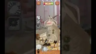 ماشا والدب ماشا وهي دكتور mash bear vet games