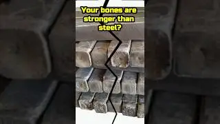 Your Bones Are Stronger Than Steel😐🦴#humanbodyfacts #shorts
