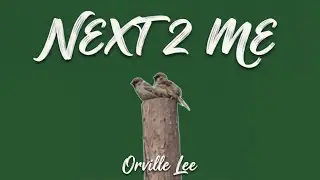 Orville Lee - Next 2 Me (Lyric Video)