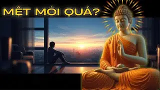 Nếu đang cảm thấy bế tắc và mệt mỏi, đây là video dành cho bạn