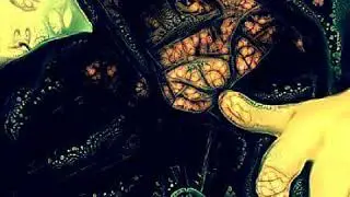 O Hippie - Brabo (part. MSL26)