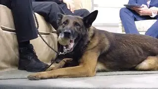 We Learn How The John Brune Law Enforcement K9 Foundation Is Raising Money For K9 Officers