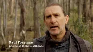 Urgency and climate change - Repairing Victorian Landscapes - Spring Plains Watershed Repair project