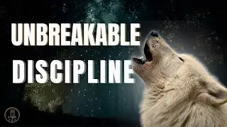 What the Wolf Teaches Us About Discipline | Quiet Motivation & Meditation