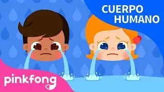 &iquest;Por Qu&eacute;? L&aacute;grimas y Colores de Piel | Cuerpo Humano | Pinkfong Canciones Infantiles
