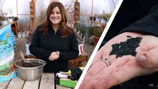 How to Start Onion Seeds Indoors! 🌿🧅👩&zwj;🌾 // Garden Answer