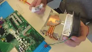Bac Pro Cybersecurité, Informatique et Réseaux, Electronique