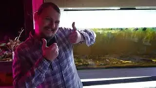 was hilft gegen Algenbel&auml;ge an der Aquarium Scheibe? Algenmagnet richtig verwenden
