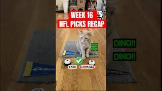 Week 16 picks reviewed #NFL #SimbaWithTheThumbs #catpicks