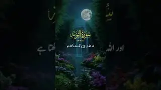 Surah At-Tawbah | Powerful Message of Repentance, Truth & Divine Justice #islamicvideo