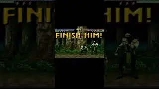 🐍Reptile All FATALITIES in Mortal Kombat Chaotic New Era
