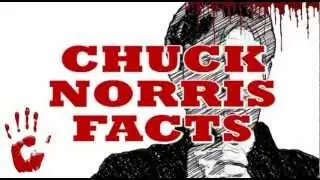 The Chief Export Of Chuck Norris Is Pain