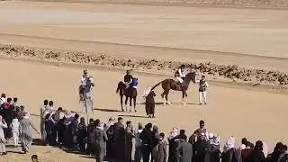 سباق الاجفر 25/4/1439 الفائز : شبل جاهين