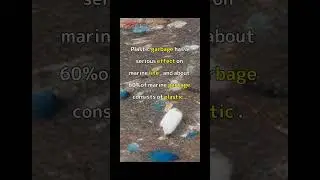 Japanese garbage problem is dangerous