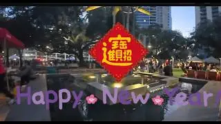 Lunar New Year - Houston Downtown +