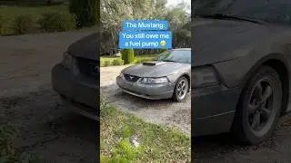 Я ему до сих пор должен 😅 #mustang #mustanggt #fordmustang #fordmustanggt