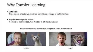 Cat Emotion Classification