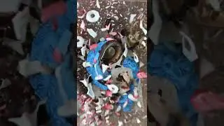 Exploding Cookie Monster!! #explode #cookiemonster #viralshorts