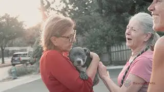 Rescue Pets Movement Commercial