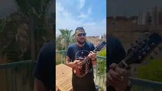 guess the song... #music #musician #musica #mandolin #mandolinplayer #cover #mandolina #folkpunk