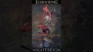 Мастер меча встречает Святого Меча #eldenring #nightreign