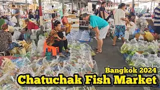Walking at Chatuchak Fish Market ตลาดปลาจตุจักร​ ล่าสุด Update​ 19/06/24