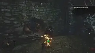 Venatori Brutes are always fun ( Dragonage Inquisition)
