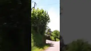 Pyrenees Life: The Countryside