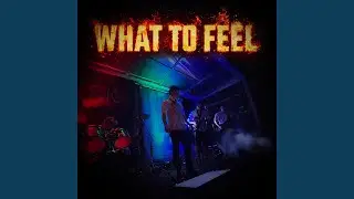 WHAT TO FEEL