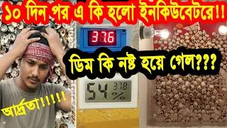 ১০ দিন পর ইনকিউবেটরে কি সমস্যা হলো,,,,,কিভাবে ঠিক করলাম?#sragro #quail #farming #villagelife