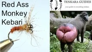 Red Ass Monkey - Jig Hook & Tungsten Bead