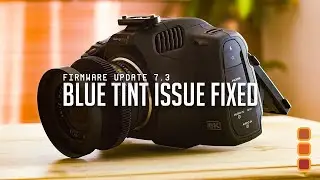 Blue Tint Issue SOLVED - Blackmagic Pocket Firmware Update 7.3
