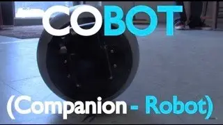 GuardBot's Companion - Robot | GuardBot