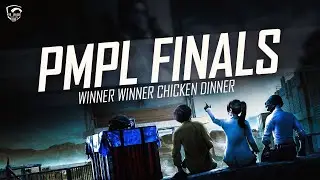PMPL FINALS WWCD | DRS GAMING