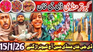 Kabootar Mandi | DGKhan Latest Update 28Vlog | DGKhan Kabutar Mandi | Kamran Bahi Qasid Bird Special