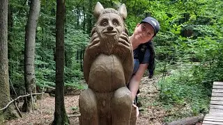 Premiumwanderweg Teufelspfad Pirmasens (Kurzvideo)