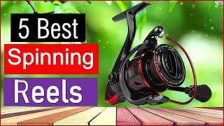 Top 5 Best  Spinning Reels - 2026 | Best  Spinning Reels - Buy Now
