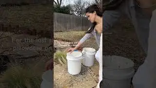 Processing Wild Clay - Day 2
