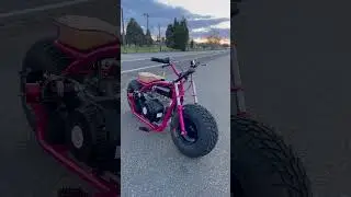 Low n slow #minibike #viral #coleman #bt200x #ct200uex #trending #tricities #youtubeshorts