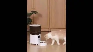 5L Smart Pet Feeder with Camera | Auto Cat Feeder WiFi Timer & App Control | Must-Have 2025!