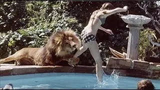 Once Upon A time in African Jungle