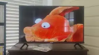 Opening to Baby Neptune: Descubriendo el Agua Spain 2006 DVD
