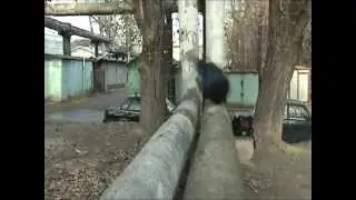 MSKPK - SKV1991 Showreel 2008