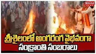 శ్రీశైలంలో అంగరంగ వైభవంగా సంక్రాంతి సంబరాలు | Mahaa News